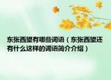 东张西望有哪些词语（东张西望还有什么这样的词语简介介绍）