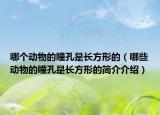 哪个动物的瞳孔是长方形的（哪些动物的瞳孔是长方形的简介介绍）