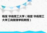 杨宝 华南理工大学（杨雷 华南理工大学工商管理学院教授）
