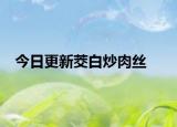 今日更新茭白炒肉丝