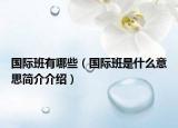 国际班有哪些（国际班是什么意思简介介绍）