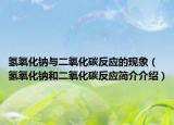 氢氧化钠与二氧化碳反应的现象（氢氧化钠和二氧化碳反应简介介绍）
