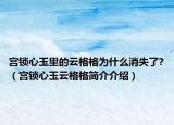 宫锁心玉里的云格格为什么消失了?（宫锁心玉云格格简介介绍）