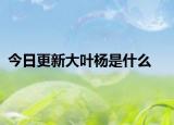 今日更新大叶杨是什么