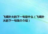 飞蛾扑火的下一句是什么（飞蛾扑火的下一句简介介绍）