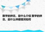 散字的拼音。是什么介绍 散字的拼音。是什么详细情况如何