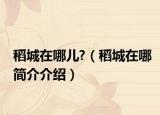 稻城在哪儿?（稻城在哪简介介绍）