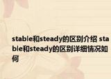 stable和steady的区别介绍 stable和steady的区别详细情况如何