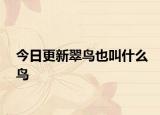 今日更新翠鸟也叫什么鸟