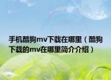 手机酷狗mv下载在哪里（酷狗下载的mv在哪里简介介绍）
