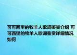 可可西里的牧羊人歌词鉴赏介绍 可可西里的牧羊人歌词鉴赏详细情况如何