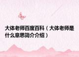 大体老师百度百科（大体老师是什么意思简介介绍）