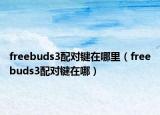 freebuds3配对键在哪里（freebuds3配对键在哪）