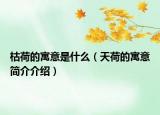 枯荷的寓意是什么（天荷的寓意简介介绍）