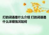 打的词语是什么介绍 打的词语是什么详细情况如何