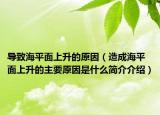 导致海平面上升的原因（造成海平面上升的主要原因是什么简介介绍）