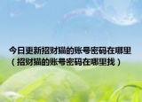 今日更新招财猫的账号密码在哪里（招财猫的账号密码在哪里找）
