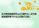 正方体的表面积怎么公式是什么（正方体的表面积等于什么公式简介介绍）