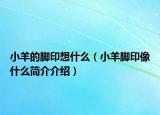 小羊的脚印想什么（小羊脚印像什么简介介绍）