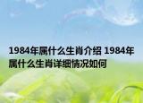 1984年属什么生肖介绍 1984年属什么生肖详细情况如何