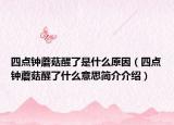 四点钟蘑菇醒了是什么原因（四点钟蘑菇醒了什么意思简介介绍）