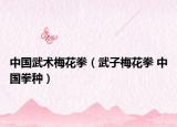 中国武术梅花拳（武子梅花拳 中国拳种）