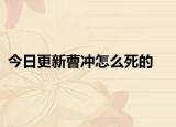 今日更新曹冲怎么死的