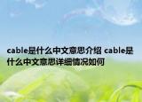 cable是什么中文意思介绍 cable是什么中文意思详细情况如何