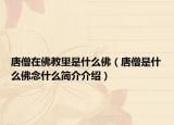 唐僧在佛教里是什么佛（唐僧是什么佛念什么简介介绍）