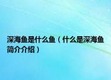 深海鱼是什么鱼（什么是深海鱼简介介绍）