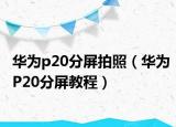 华为p20分屏拍照（华为P20分屏教程）