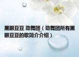 黑眼豆豆 劲舞团（劲舞团所有黑眼豆豆的歌简介介绍）