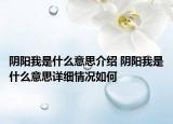 阴阳我是什么意思介绍 阴阳我是什么意思详细情况如何