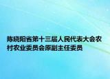 陈晓阳省第十三届人民代表大会农村农业委员会原副主任委员