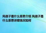 风信子是什么意思介绍 风信子是什么意思详细情况如何