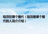 陆羽在哪个朝代（陆羽是哪个朝代的人简介介绍）