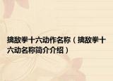 擒敌拳十六动作名称（擒敌拳十六动名称简介介绍）