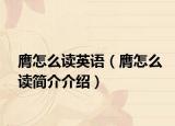膺怎么读英语（膺怎么读简介介绍）