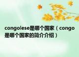 congolese是哪个国家（congo是哪个国家的简介介绍）