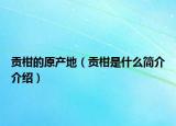 贡柑的原产地（贡柑是什么简介介绍）