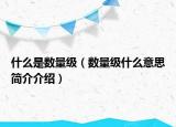 什么是数量级（数量级什么意思简介介绍）