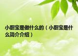 小厨宝是做什么的（小厨宝是什么简介介绍）