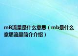 mB流量是什么意思（mb是什么意思流量简介介绍）
