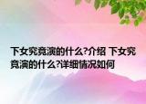 下女究竟演的什么?介绍 下女究竟演的什么?详细情况如何