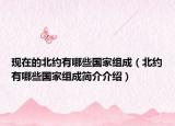 现在的北约有哪些国家组成（北约有哪些国家组成简介介绍）