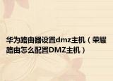 华为路由器设置dmz主机（荣耀路由怎么配置DMZ主机）