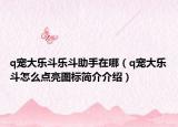 q宠大乐斗乐斗助手在哪（q宠大乐斗怎么点亮图标简介介绍）