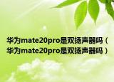 华为mate20pro是双扬声器吗（华为mate20pro是双扬声器吗）
