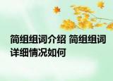简组组词介绍 简组组词详细情况如何