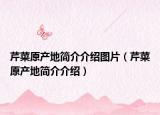 芹菜原产地简介介绍图片（芹菜原产地简介介绍）